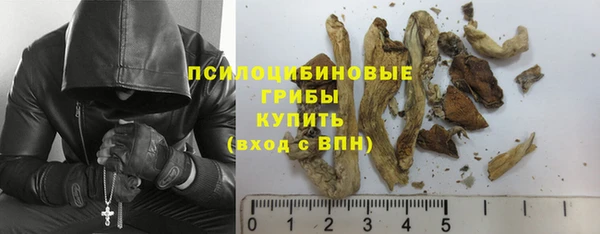 Альфа ПВП Зеленокумск