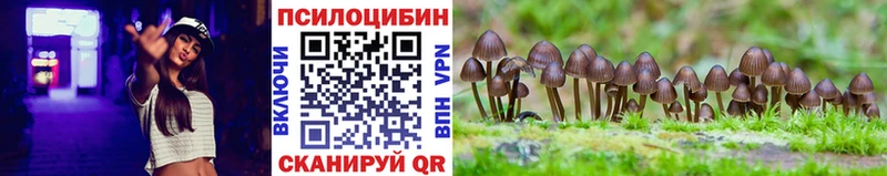 Псилоцибиновые грибы GOLDEN TEACHER  Купить закладки  Ростов 